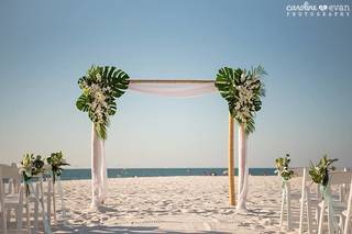 Hilton Clearwater Beach Resort & Spa - 43