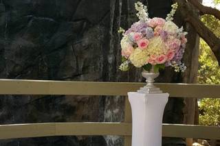 Alicia and Co. Events - 28