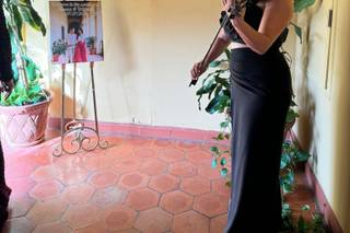 Tempo de Violines - 15