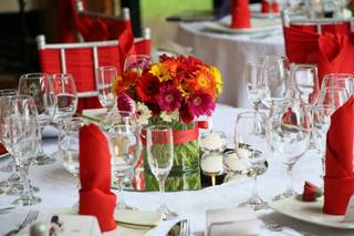 LINA BENDER EVENT AND WEDDING PLANNER - 27