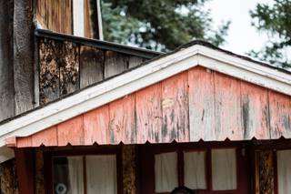 Viera Photographics - 5