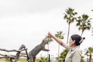 San Diego Zoo Wildlife Alliance - 16