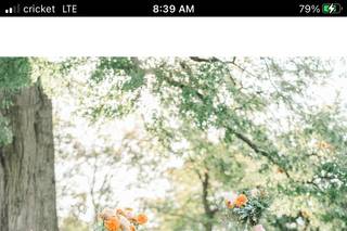Heather J Photography - 23