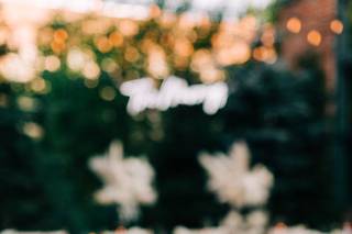 The Party Pretzel - 11