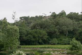 Monserate Winery - 47
