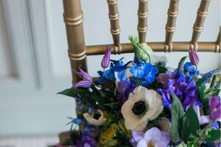 Nikki Santerre Photography - 16