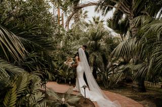 Cinematica Weddings - 37