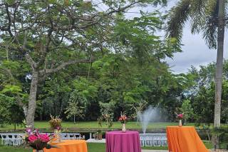 Lush Celebrations at Field of Flowers - 9