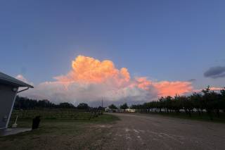 Twin Bluff Farms - 6