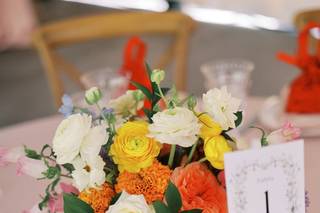 TLC Event Design & Coordination - 7