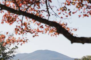 Whiteface Hollow - 7