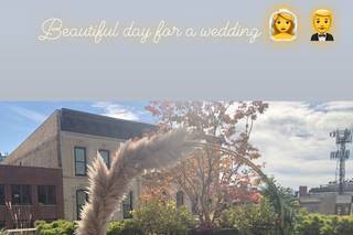 Busy B's Floral - 163