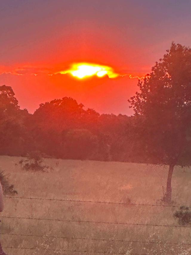 McFarland Ranch - 2