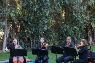 Eliana Strings - 28