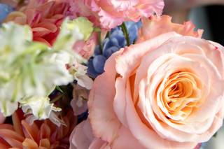 Corey Cagle Photography - 6