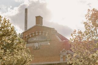 Paperbird Photography - 31