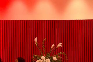 Peonia Atelier - 5
