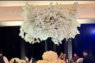 Michelle Sheppard Events - 6