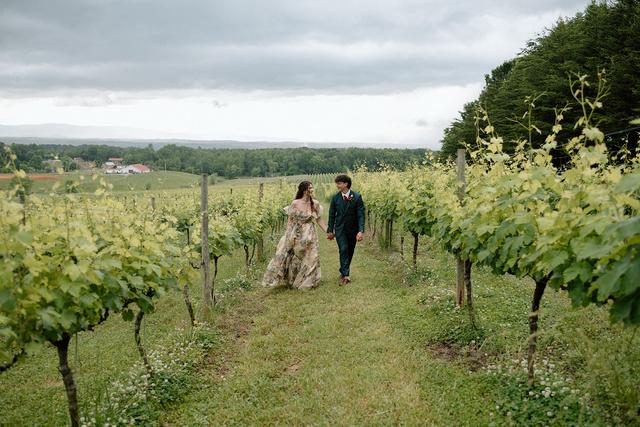 Piccione Vineyards - 4
