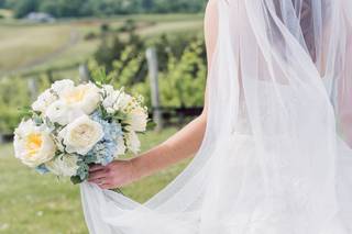 Stephanie Messick Photography - 5