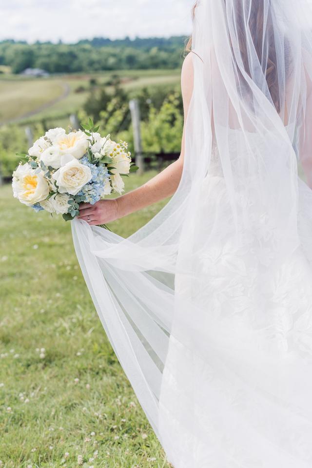 Stephanie Messick Photography - 2
