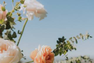 Besame Floral & Events - 18