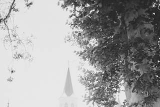 Madison d'Huart Photography - 5