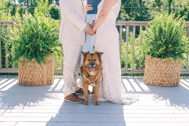 Summer Adams Photography - 1