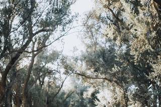 Liz Zimbelman Photography - 12