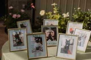Little Bird Events - 23