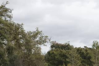 Monserate Winery - 74