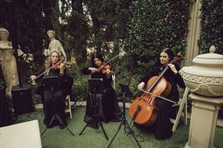 Graceful Gatherings - 7
