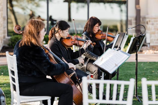 Terra Vista Strings - 3