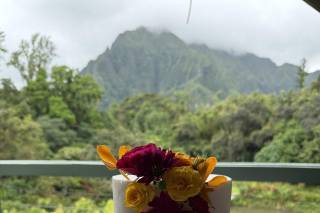 Haiku Gardens Weddings - 6
