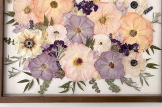 White Poppy Preservation - 30