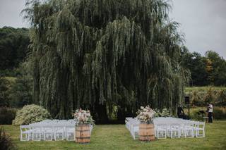 Nostrano Vineyards - 19