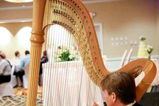 Harpist Louis Lynch - 1