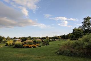 Red Maple Vineyard - 53