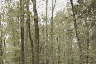 Tall Timber Barn - 10