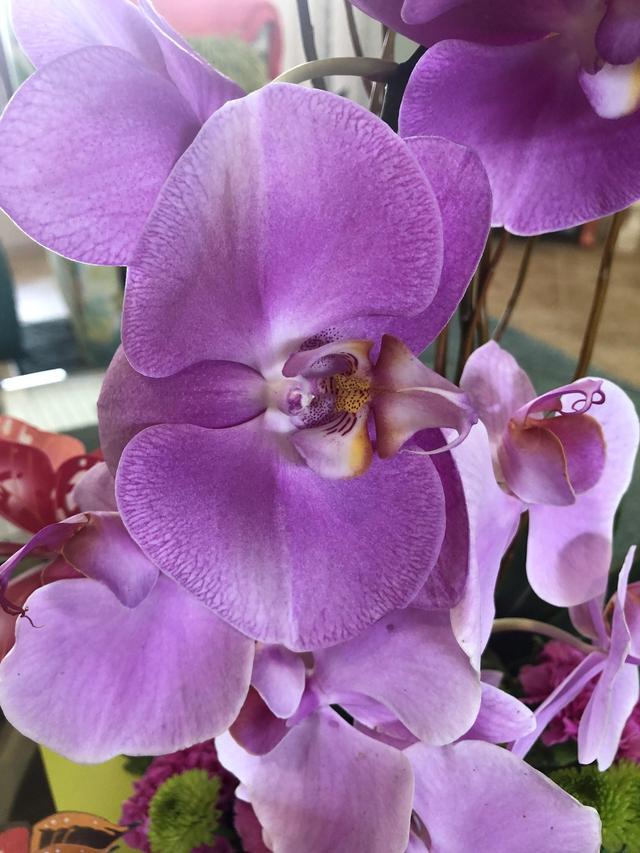 Ft Myers Express Floral - 2