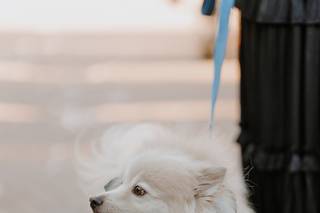 Azure Events - 6