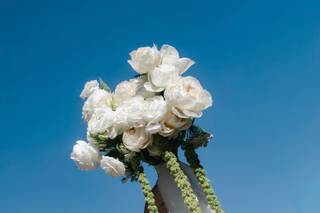 Miami Centerpieces, LLC - 9