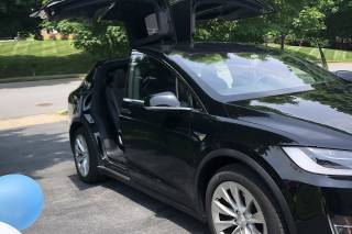 TeslaRosa - 7
