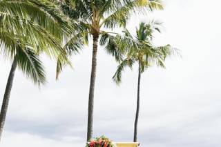 Best Day Ever Hawaii - 11