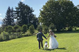 Buckley Farm - 11