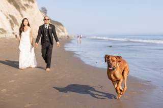 Veils & Tails Photography - 8