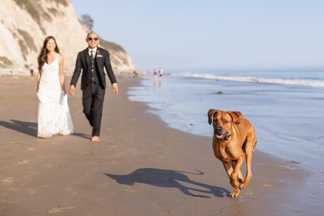 Veils & Tails Photography - 3