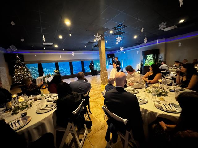 Gulfarium Marine Adventure Park - 1