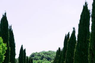 Viarisio & Co. - Wedding Planner in Italy - 5