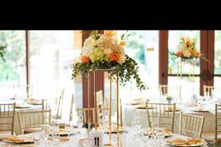 GALA Photo and Films - 9